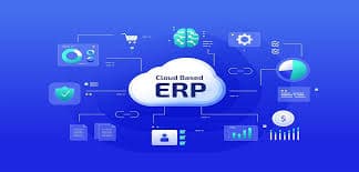 ERP & Custom Software